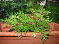40ecd060-Picture 003.jpg